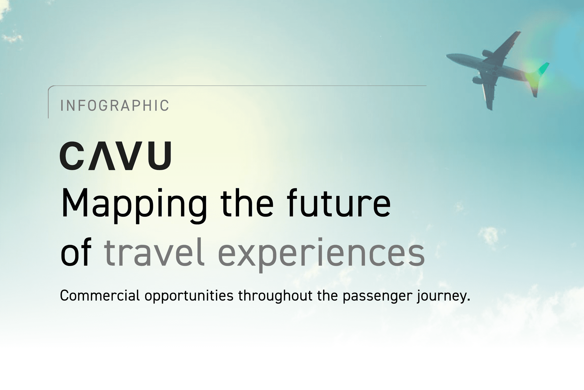 CAVU Infographic Website (1)